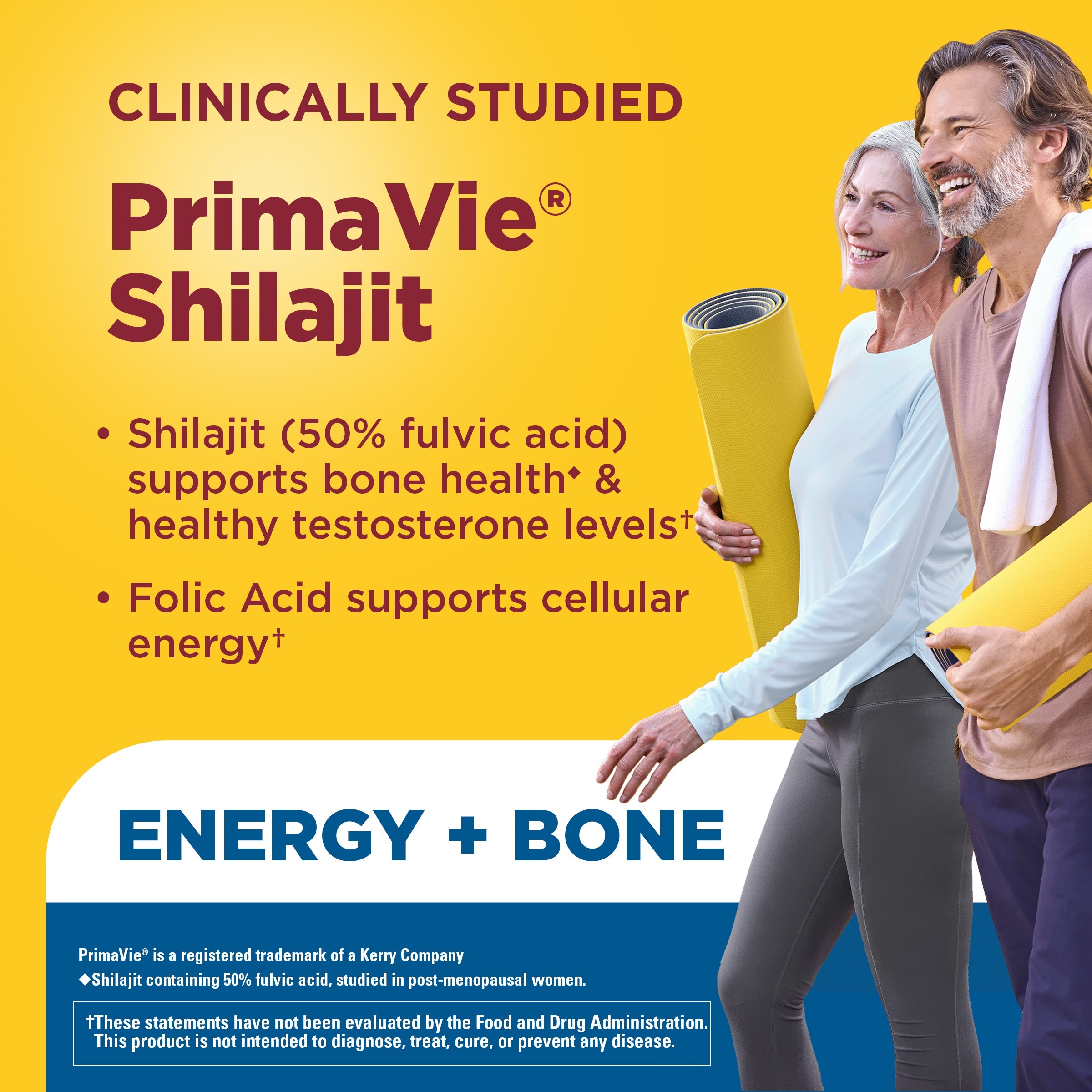 Shilajit + Magnesium Citrate, Zinc & Folic Acid Capsules